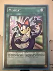 Mimicat