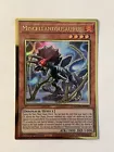 Miscellaneousaurus