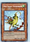 Mist Valley Thunderbird