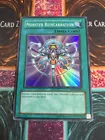 Monster Reincarnation