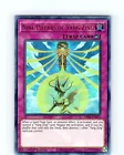Nine Pillars of Yang Zing