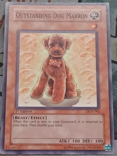 Outstanding Dog Marron