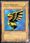Petit Dragon