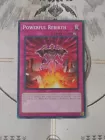 Dragon's Rebirth