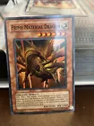 Prime Material Dragon