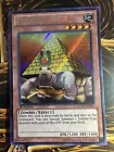 Pyramid Turtle