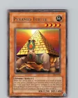 Pyramid Turtle