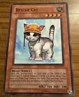 Rescue Cat