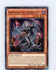 Shaman of the Ashened City
