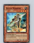 Shield Warrior