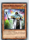 Skilled White Magician