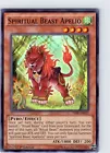 Spiritual Beast Apelio