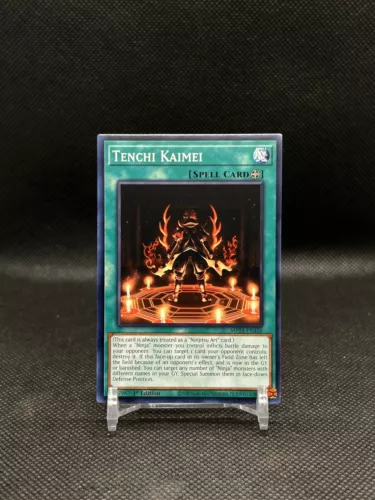 Tenchi Kaimei
