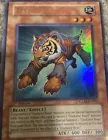 Test Tiger