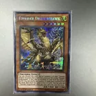 Thunder Dragonhawk
