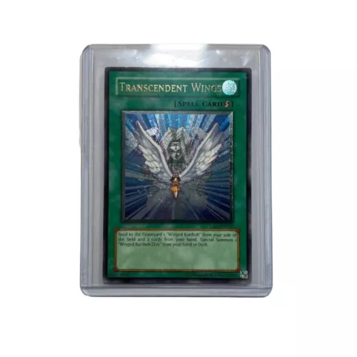 Transcendent Wings