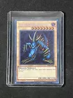 Tri-Horned Dragon