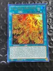 The True Sun God