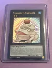 Toadally Awesome