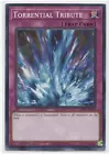 Torrential Tribute