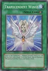 Transcendent Wings