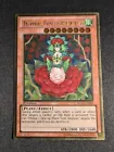 Tytannial, Princess of Camellias