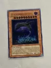 Earthbound Immortal Chacu Challhua