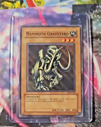 Mammoth Graveyard