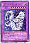 Cyber Twin Dragon