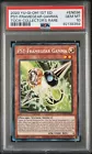 PSY-Framegear Gamma