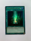 Advanced Ritual Art