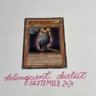 An Owl of Luck
