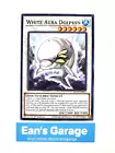 White Aura Dolphin