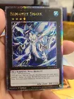 Bahamut Shark
