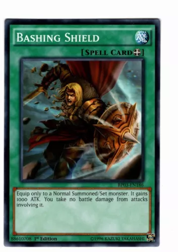 Bashing Shield