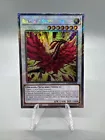 Black Rose Moonlight Dragon