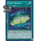 Cynet Mining