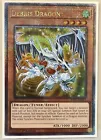 Debris Dragon