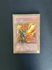 Flame Swordsman