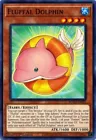 Fluffal Dolphin