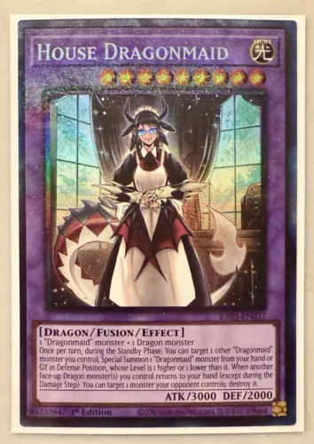 House Dragonmaid