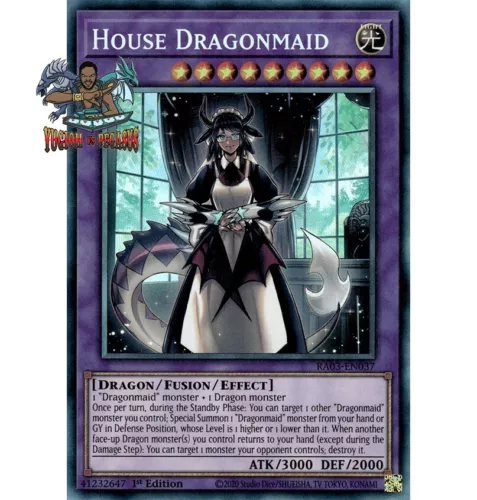 House Dragonmaid