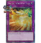 Phoenix Wing Wind Blast