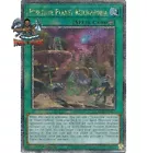 Primitive Planet Reichphobia
