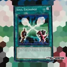 Soul Exchange