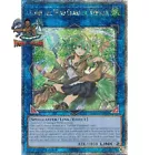 Wynn the Wind Charmer, Verdant