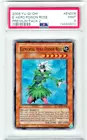 Elemental HERO Poison Rose