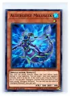Altergeist Meluseek