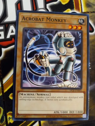 Acrobat Monkey