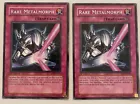 Rare Metalmorph